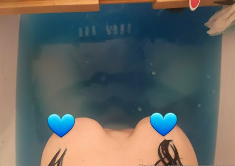 aria wanders free 素敵なスター 写真