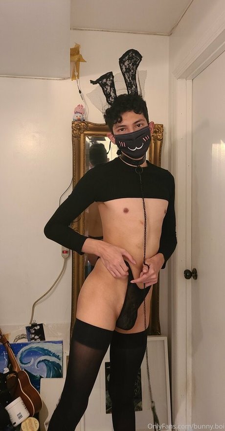 twinku 美しいスター 写真