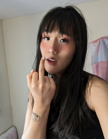oomfiekat 最高のスター ギャラリー