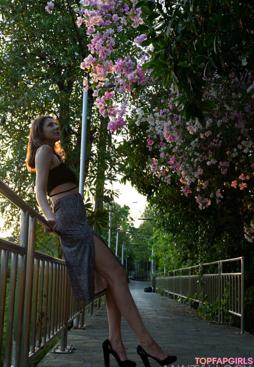 anntallogy ホットなスター 画像