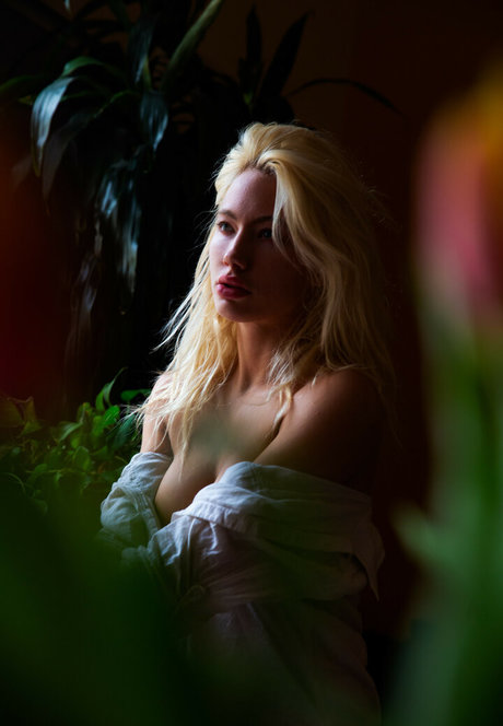 Ivy Wolfe アートポルノスター 画像