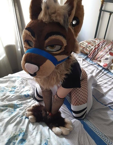コスプレ ヘンタイ OnlyFans ホット 写真