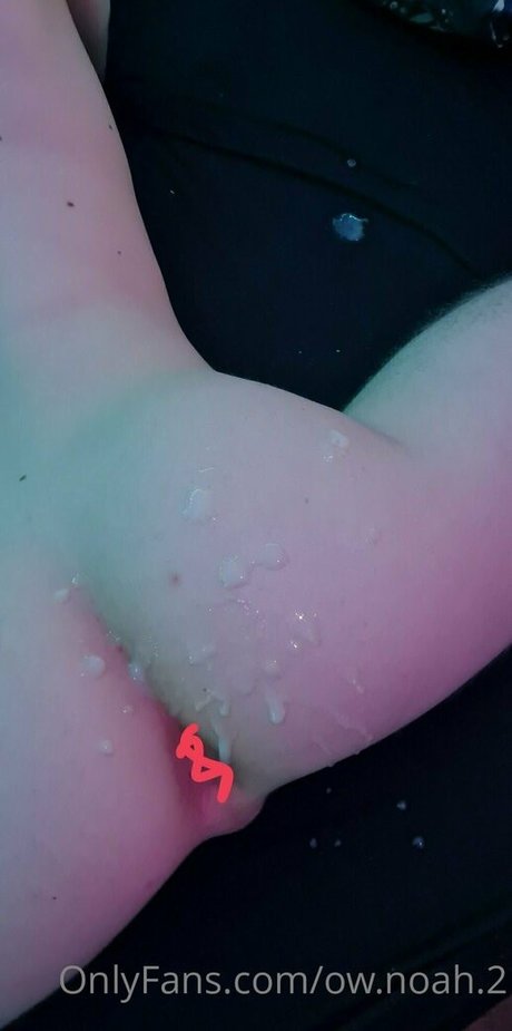 ow noah 2 ポルノスター 素敵 写真