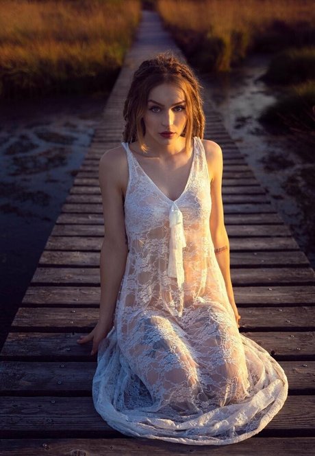 Dahlia Rex 独占スター 写真