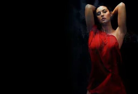 Monica Bellucci 最高のポルノスター 写真