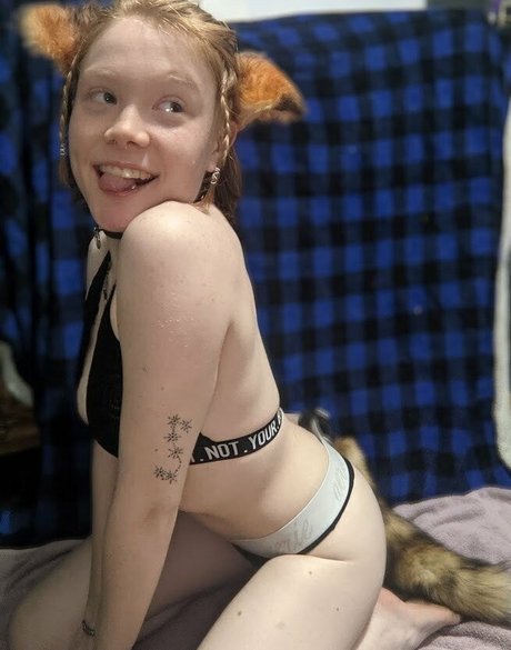 bambiibabee 無料のスター 写真