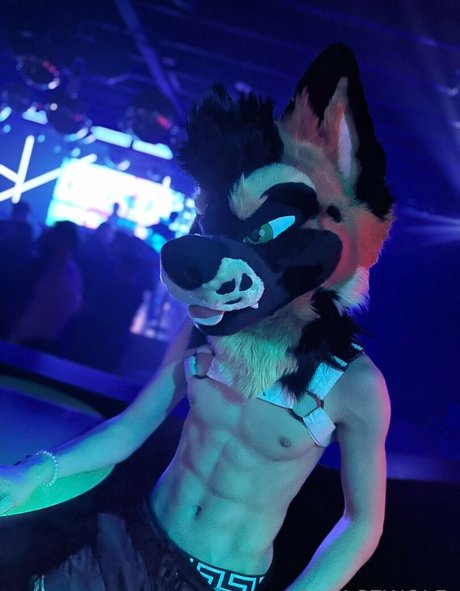palacewolf ポルノスター セクシー 写真