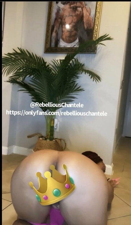 rebelliouschantele ホットスター 画像