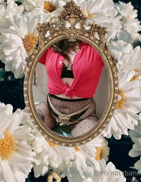notxbvnny 素敵なスター 写真