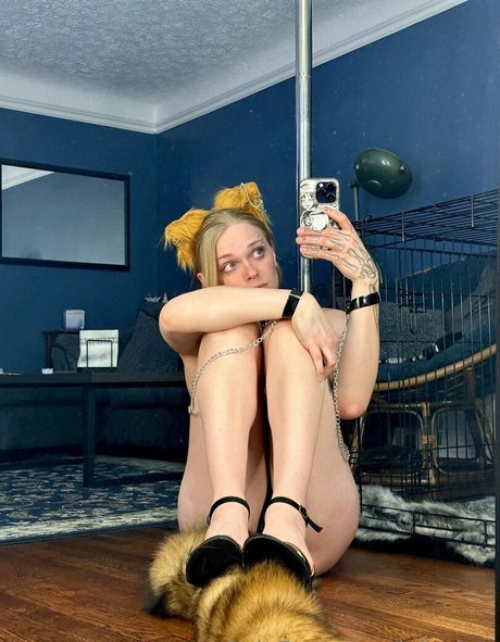 ivibabes 無料スター 写真