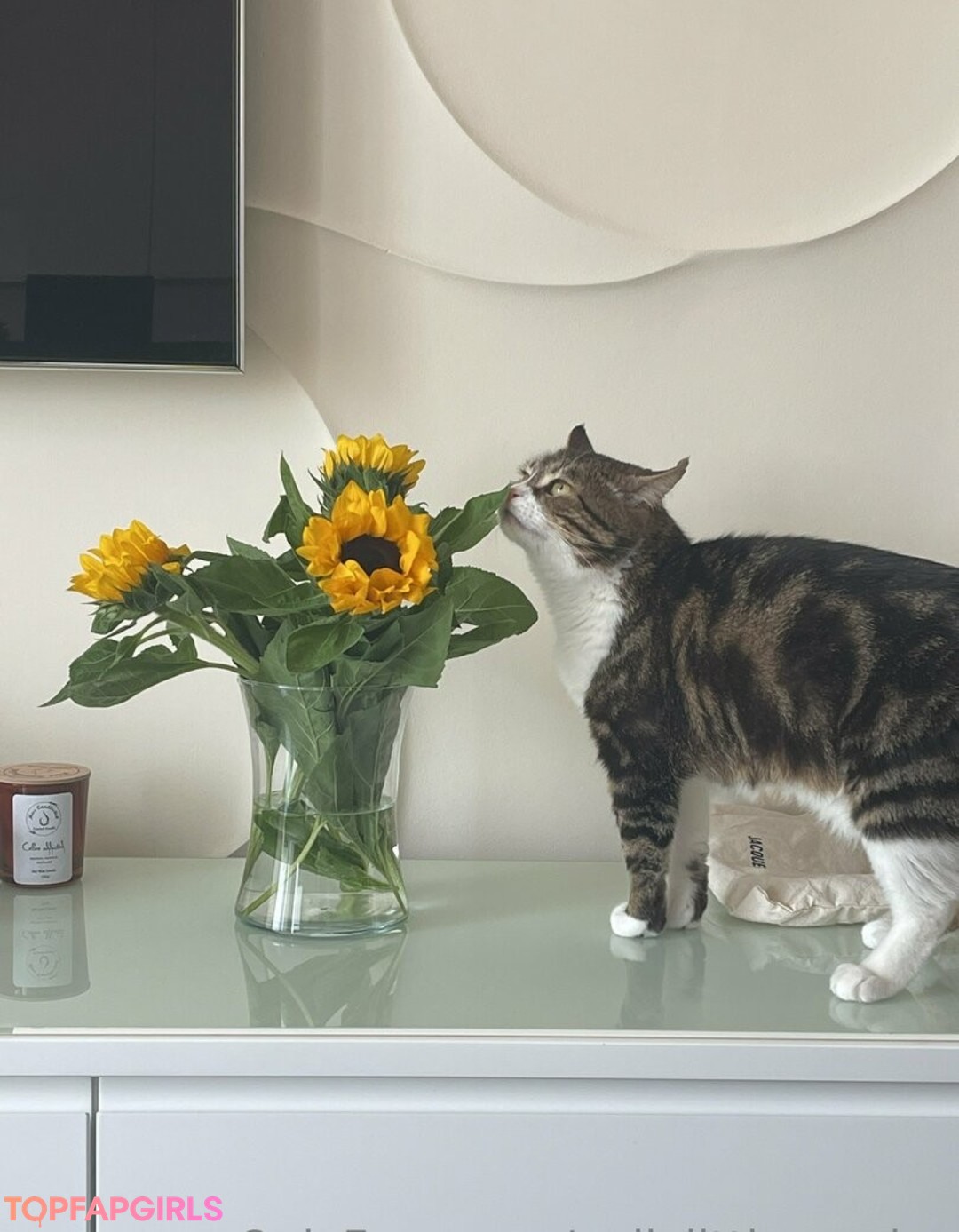 pollylittlecaprice ポルノ女優 写真