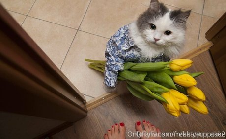 freekatycupcake かわいいポルノスター 写真