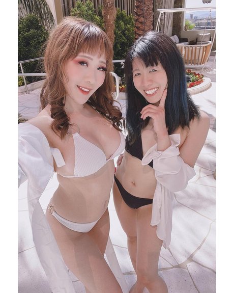 Vivid Vision トップモデル 画像