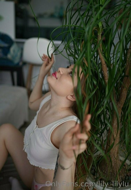 lily lilylu セクシー女優 写真