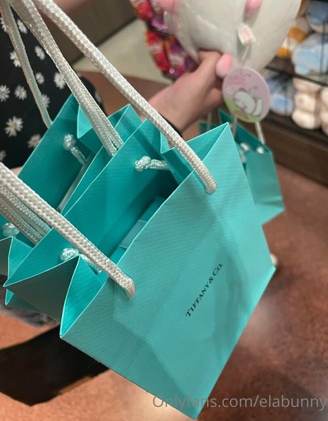 elabunny 無料モデル 写真