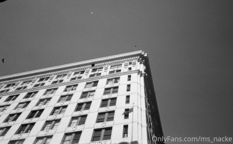 ms nacke HD女優 写真