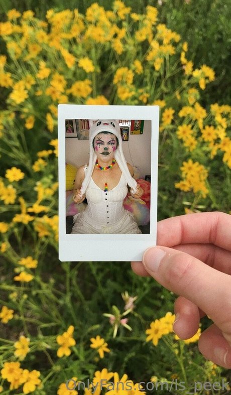 ls peek アートポルノスター 写真