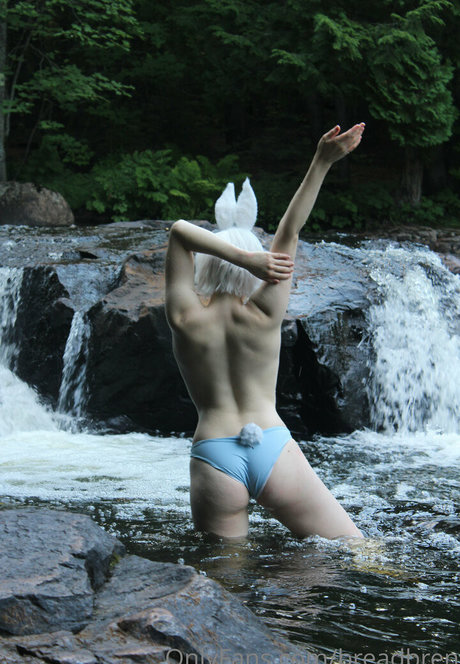 breadbren HDモデル 写真