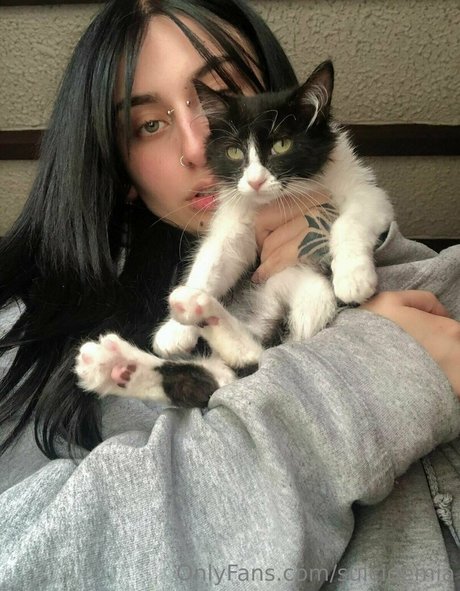 badkittymia 美しいスター 画像