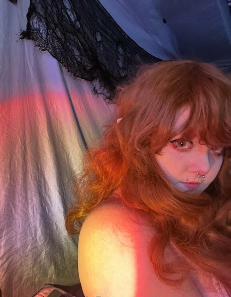 The bunny bee セクシーなポルノスター 写真