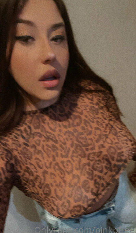 ruivinhafree ホットモデル 写真