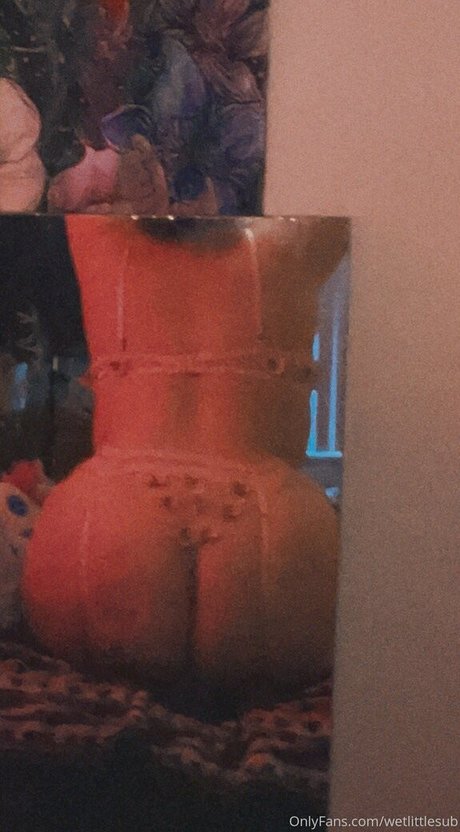 wetlittlesub ヌードモデル 写真
