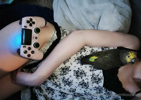 pandavision 可愛いモデル 写真