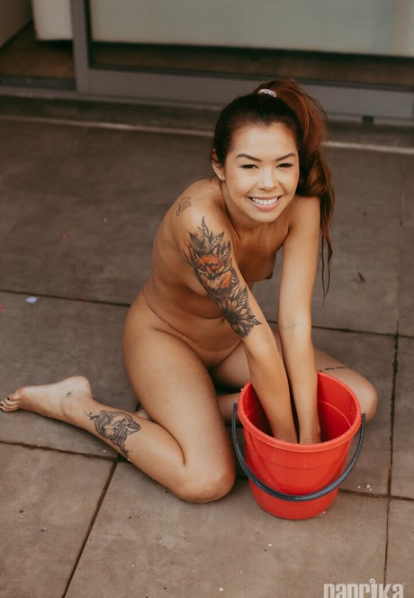 Paprika 最高のスター 写真