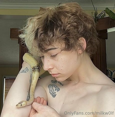 milkw0lf ポルノスター 素敵 写真