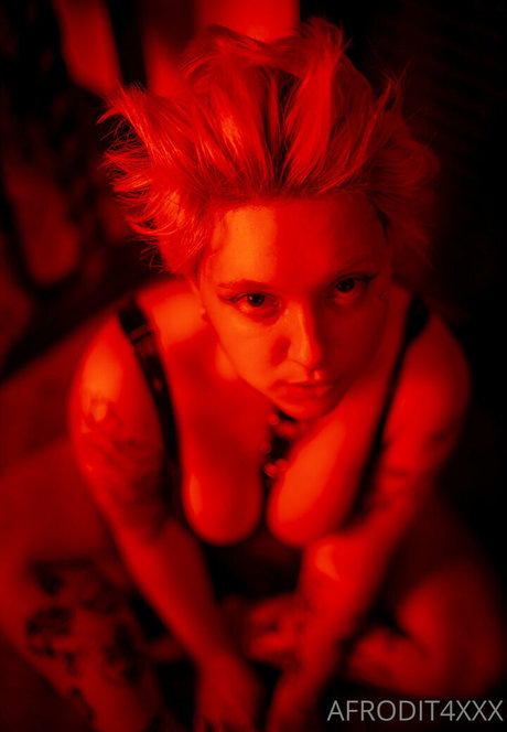 afrodit4x アートポルノスター 写真