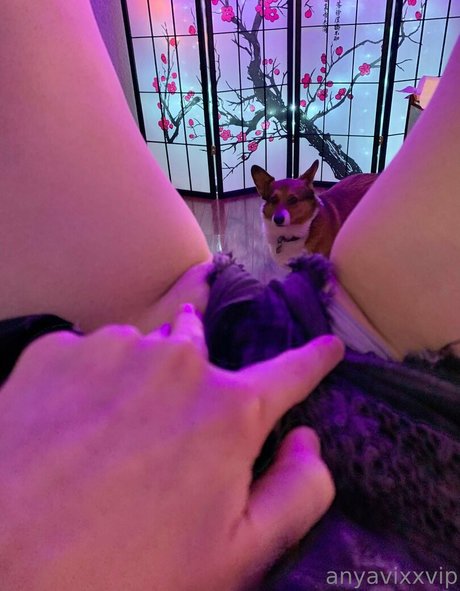 AnyaVixx セックスポルノスター 写真