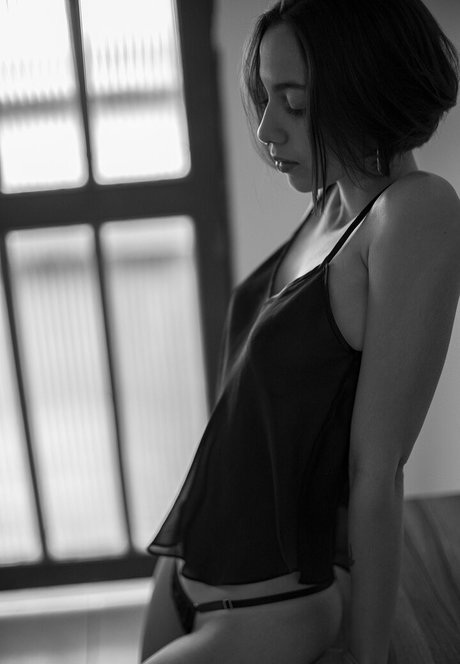 Gatas De Goiania アートスター 写真