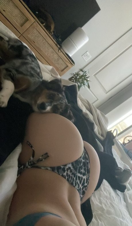 Abbagail Seidl セックスポルノスター ギャラリー