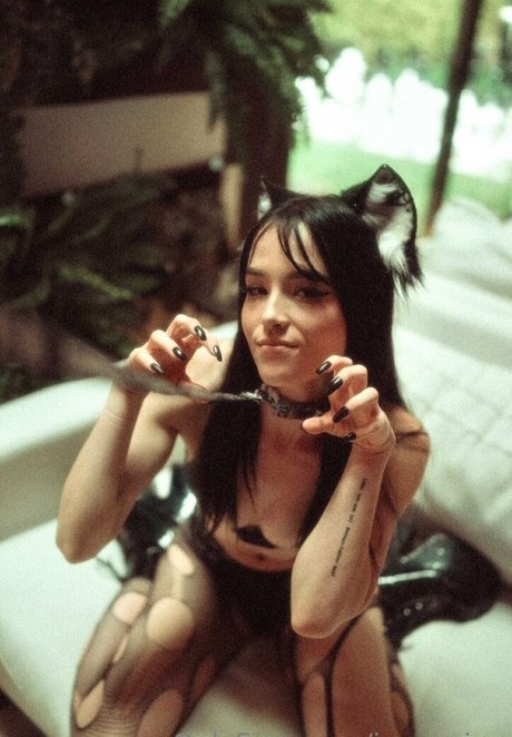 ivyxquinn セックス女優 写真