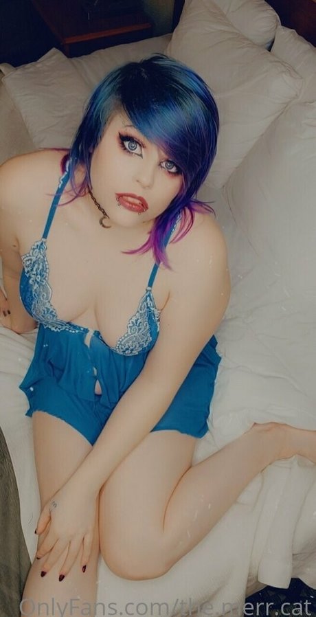 the merr cat スター 写真