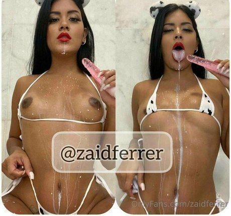 zaidferrer 美しいスター アーカイブ