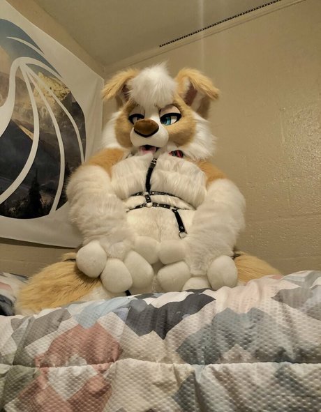 Murrsuit ポルノスター xxx ギャラリー