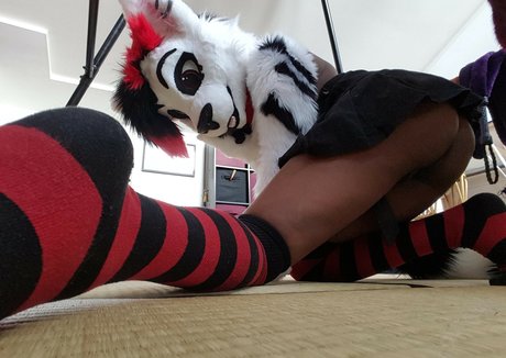 Murrsuit セクシーなスター 写真