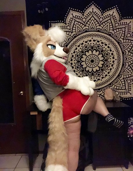 Murrsuit スター xxx 写真