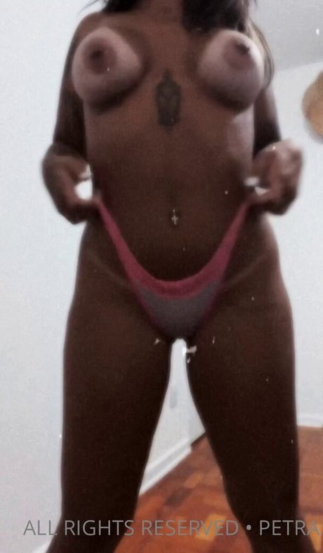 Petra Mattar HDモデル 画像