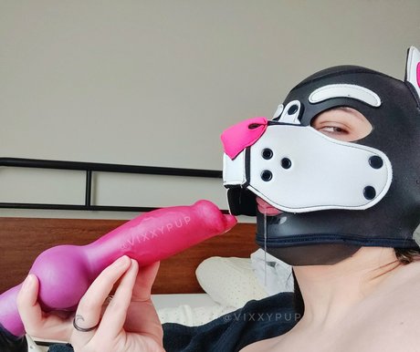 vixxypup 高品質モデル 画像