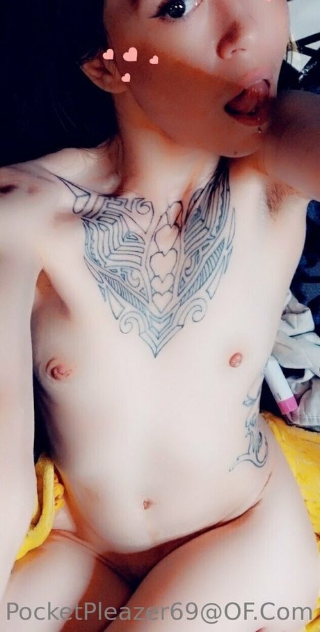 pocketpleazer HDスター 写真