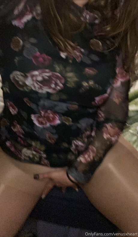 venusxheart HDモデル 写真