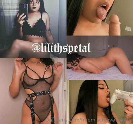 freemischievouskitty 素敵なスター 写真