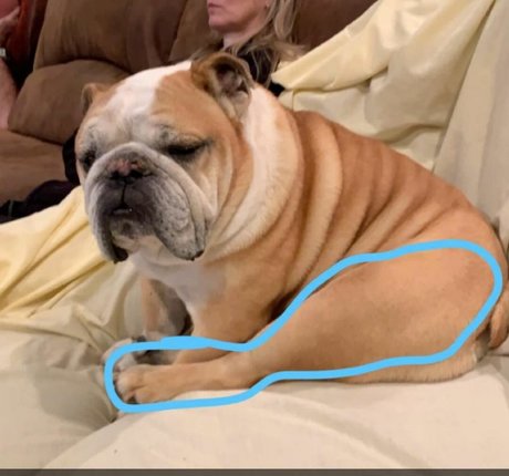 Courtney Craib ヌードモデル 写真