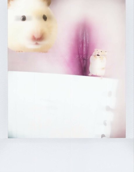 suabap 2205 裸のモデル 写真