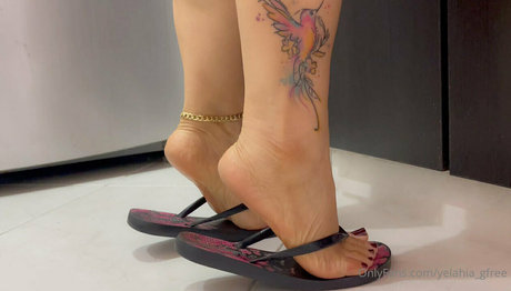 yelahia gfree ポルノスター 画像