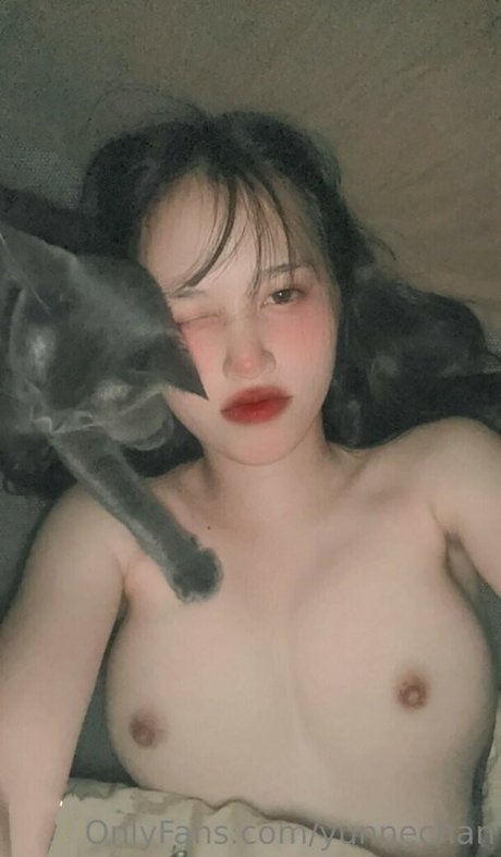 yunnechan ポルノ女優 写真