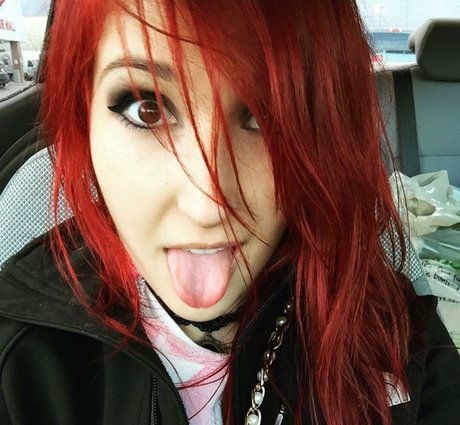 Seafoam Kitten s ASMR 無料のスター 写真