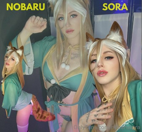 nobarusora HDポルノスター 写真